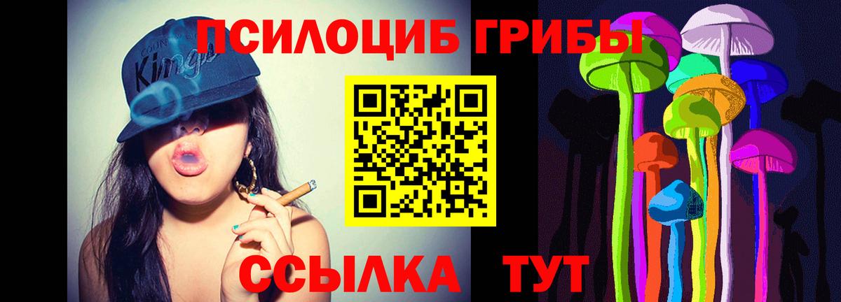 Лыткарино  Галлюциногенные грибы MAGIC MUSHROOMS  Псилоцибиновые грибы мицелий  Вход с VPN 
